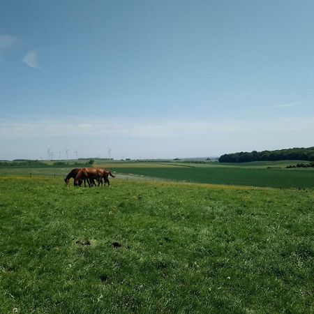 Jad Ranch Hotel Raucourt-et-Flaba ภายนอก รูปภาพ