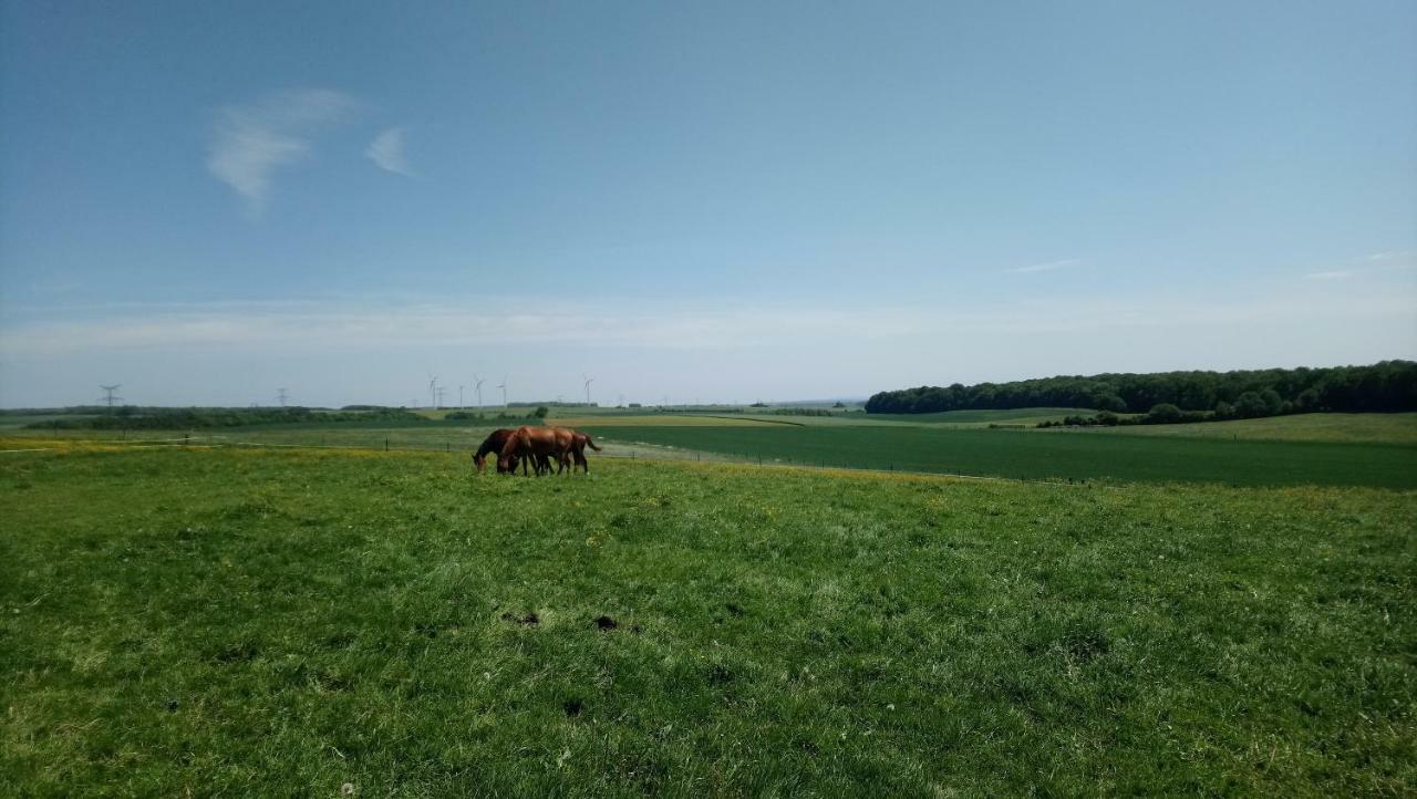 Jad Ranch Hotel Raucourt-et-Flaba ภายนอก รูปภาพ